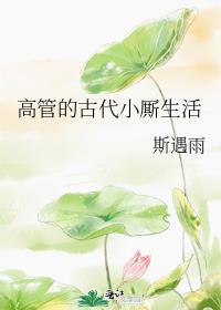 高管的古代小厮生活格格党无防盗