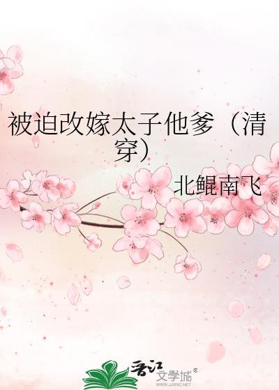被迫改嫁太子他爹清穿作者北鲲南飞