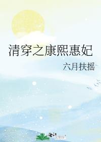 清穿之康熙惠妃大结局