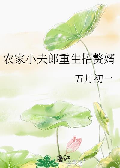 农家小夫郎重生招赘婿林出尘
