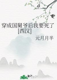穿越成国舅爷的