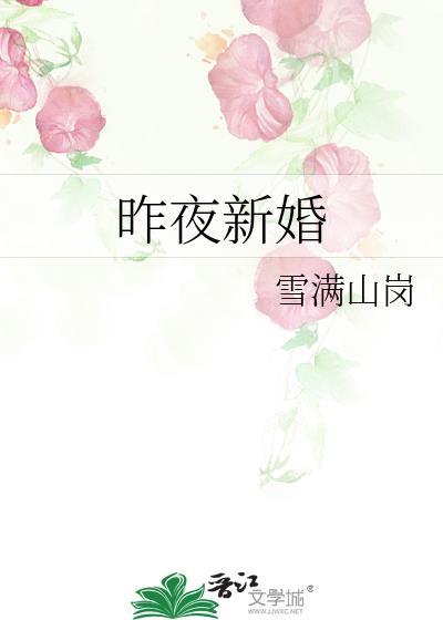 新昨夜星辰百科