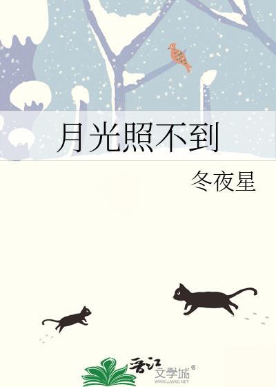 月光照不到的地方