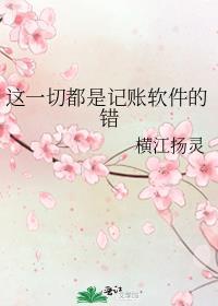 这一切都是记账软件的错误英文