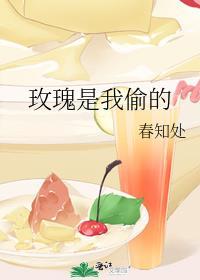 玫瑰是我偷的下一句是什么