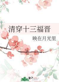 清穿十三福晋兆佳雪