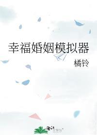 幸福婚姻模拟器267