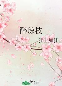 醉琼枝 狂上加狂TXT