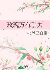 玫瑰引力百度