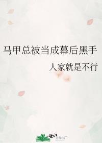 综马甲幕后黑手