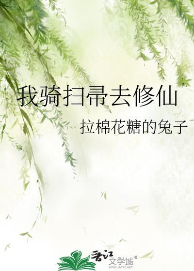 骑扫帚图片