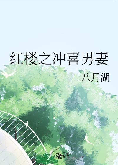 红楼之冲喜男妻笔趣阁