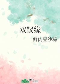 双钗缘txt资源