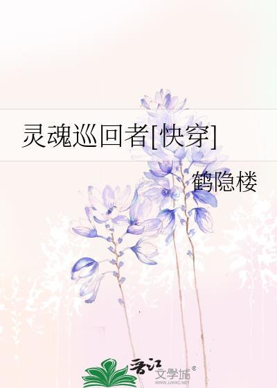 灵魂巡回者txt百度