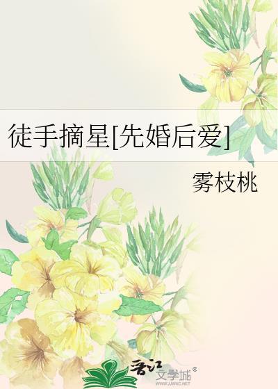 徒手摘星[先婚后爱