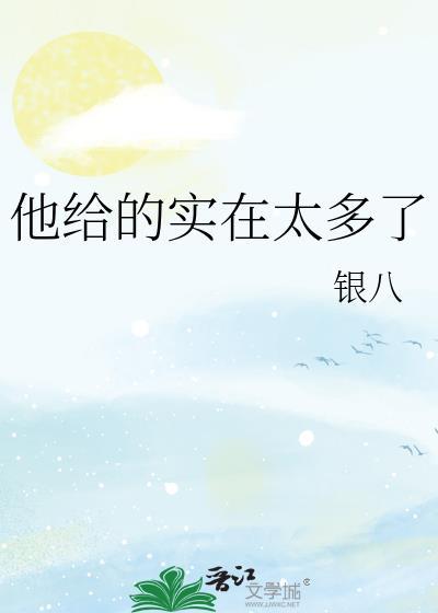 他给得实在太多了