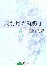 只要月亮还在天上主要内容