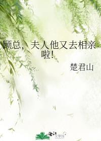 夫人他又去相亲啦! 楚君山