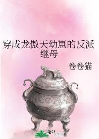 穿成龙傲天的恶毒后妈作者木一了