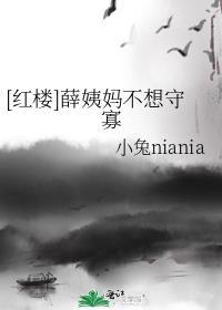红楼薛姨妈改嫁