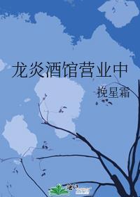 龙炎 案