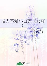 谁人不爱小白莲女尊无删减