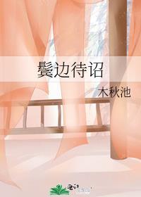 鬓边待诏免费阅读