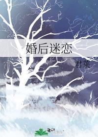 婚后迷恋by君莱