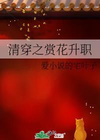 清穿之赏花升职全文免费阅读