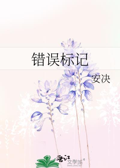 错误标记 安决 番外