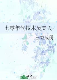 穿越七零技术员