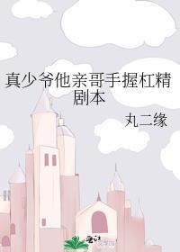 真少爷他亲哥手握杠精剧本txt