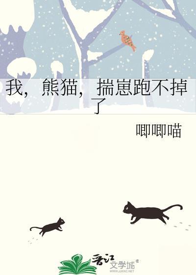 我的熊猫不服