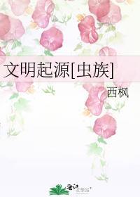 文明起源吧