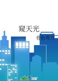 窥天光by骨月弯刀