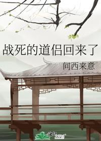 战死的道侣回来了百度
