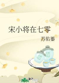 宋小将在七零全文阅读
