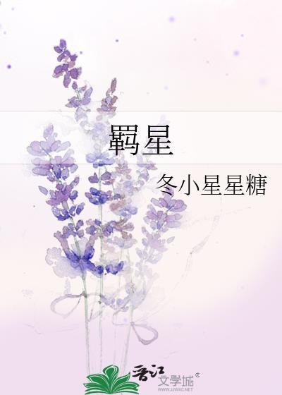 羁星冬小星星糖
