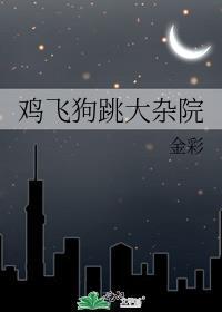 鸡飞狗跳大杂院免费阅读
