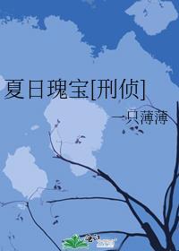 夏日的宝藏