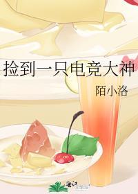 捡到一只电竞大神免费阅读