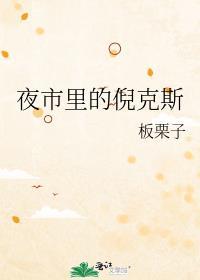 夜市里的倪克斯板栗子笔趣阁番外篇