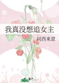 我真没想追女主txt