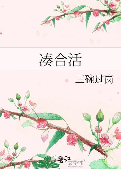 凑合活三碗过岗txt