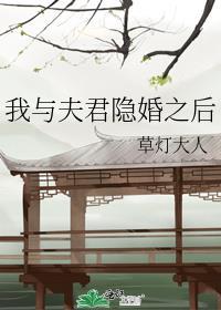 我与夫君隐婚之后晋江