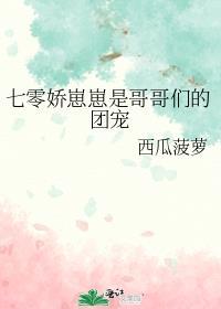 七零之哥哥们的团宠小崽崽徐冉番