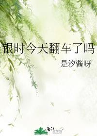 银时x银子