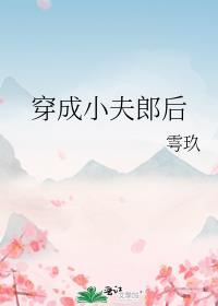 小夫郎甜宠文