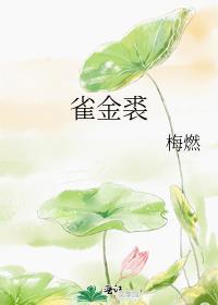 雀金裘是什么衣服