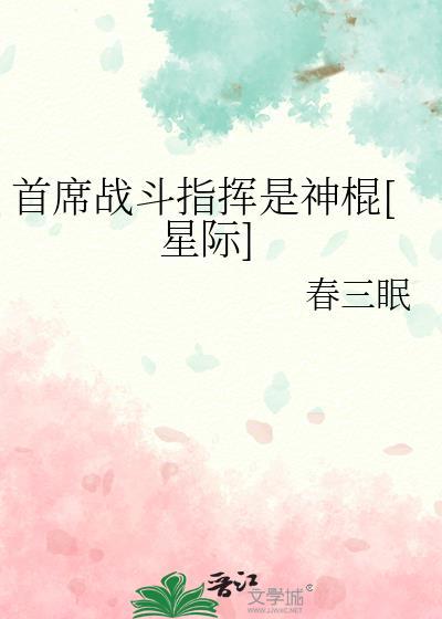 首席指挥官英文
